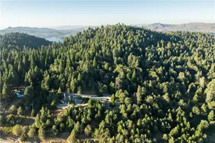 28879 Sycamore Dr, Lake Arrowhead, CA 92385 - Photo 6