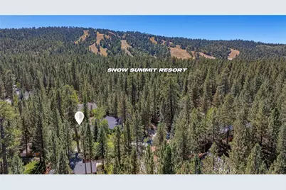 42143 Winter Park Drive, Big Bear Lake, CA 92315 - Photo 8