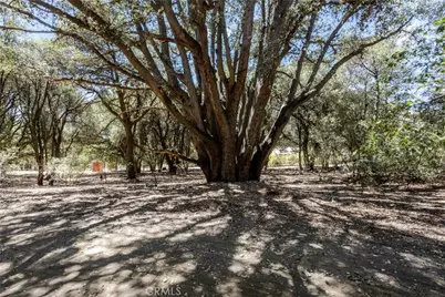 39922 Pine Bench Road, Oak Glen, CA 92399 - Photo 4