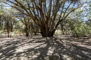 39922 Pine Bench Rd, Oak Glen, CA 92399 - Photo 4