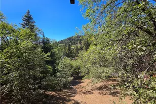 2734 Preston, Running Springs, CA 92382 - Photo 2