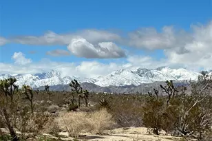 7374 Olympic Rd, Joshua Tree, CA 92252 - Photo 28