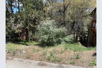 0 Imperial Avenue, Sugarloaf, CA 92386 - Photo 1