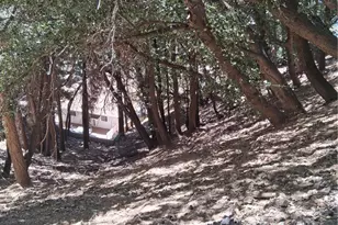 10 Delle, Crestline, CA 92325 - Photo 1