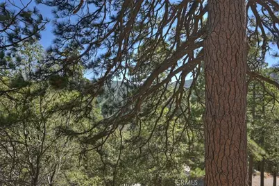 26525 Walnut Hills, Lake Arrowhead, CA 92352 - Photo 30