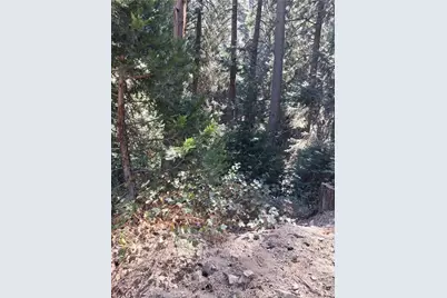 14 Burnt Mill Canyon Road, Cedarpines Park, CA 92322 - Photo 4