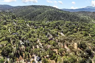 1700 S Way, Lake Arrowhead, CA 92352 - Photo 40