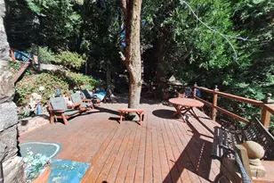 21515 Sawpit Canyon, Cedarpines Park, CA 92322 - Photo 24