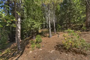 411 Grass Valley, Lake Arrowhead, CA 92317 - Photo 44