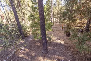 43320 Sand Canyon, Big Bear Lake, CA 92315 - Photo 42