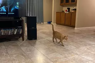 1364 W 139th, Gardena, CA 90247 - Photo 12