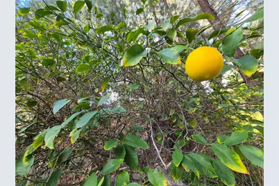 4040 Piedmont Drive #356, Highland, CA 92346 - Photo 42