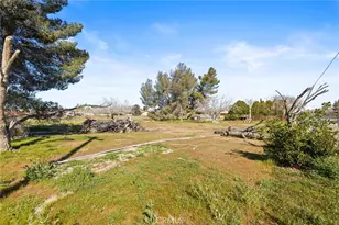 9756 E Ave S 4, Littlerock, CA 93543 - Photo 36