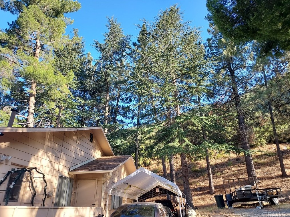 13833 Hazel Dr, Lytle Creek CA  92358 exterior