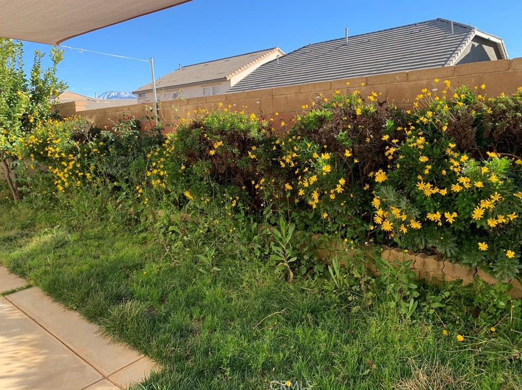 1323 Burdock St, Beaumont CA  92223-8301 exterior