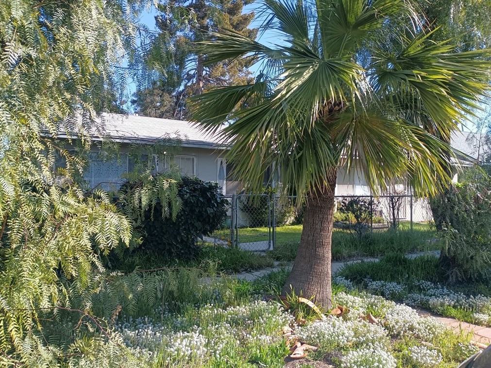 252 8th St, Beaumont, CA 92223-5904
