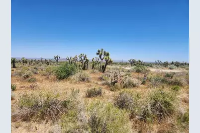 0 Ave X6 212 Street, Llano, CA 93544 - Photo 6