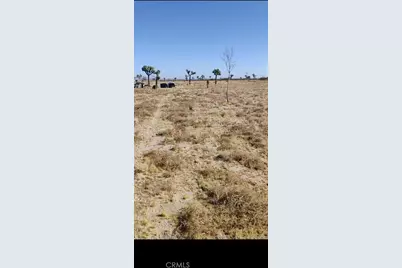 6800 South Street, Phelan, CA 92371 - Photo 2