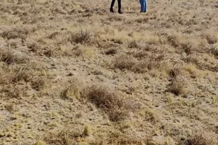 6800 South St, Phelan, CA 92371 - Photo 1