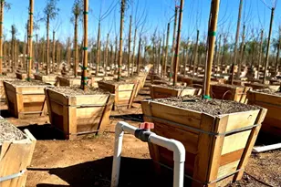 21290 Ellis Ave, Perris, CA 92570 - Photo 20