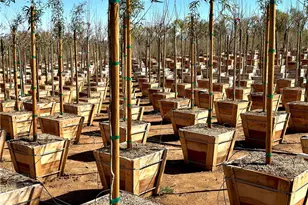 21290 Ellis Ave, Perris, CA 92570 - Photo 24