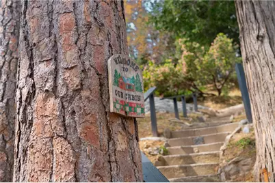 356 Wylerhorn Drive, Crestline, CA 92325 - Photo 8