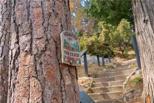 356 Wylerhorn Dr, Crestline, CA 92325 - Photo 8