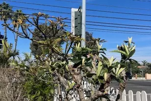 226 E Edinger Ave, Santa Ana, CA 92707 - Photo 6