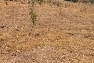 3104 Lincoln Park Ave, Lincoln Heights, CA 90031 - Photo 1