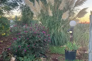 39550 S Kirby Rd, Anza, CA 92539 - Photo 48