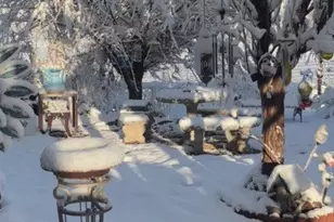 39550 S Kirby Rd, Anza, CA 92539 - Photo 46