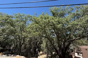 736 Dahlia Dr, Green Valley Lake, CA 92341 - Photo 1