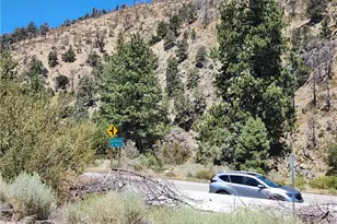 2164 Outer Hwy 2, Wrightwood, CA 92397 - Photo 4