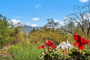 39566 Clearwater Dr, Oak Glen, CA 92399 - Photo 8