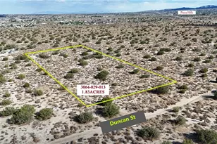 0 Duncan Rd, Llano, CA 93544 - Photo 1