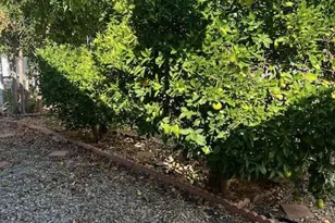 23820 Ironwood, Moreno Valley, CA 92557 - Photo 20