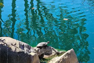 33340 Windmill, Wildomar, CA 92595 - Photo 28