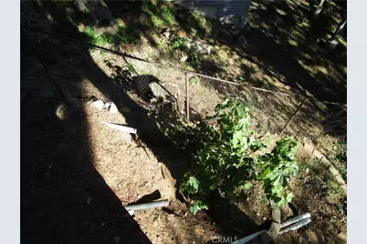 493 Wylerhorn Drive, Crestline, CA 92325 - Photo 56