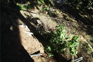 493 Wylerhorn Dr, Crestline, CA 92325 - Photo 56