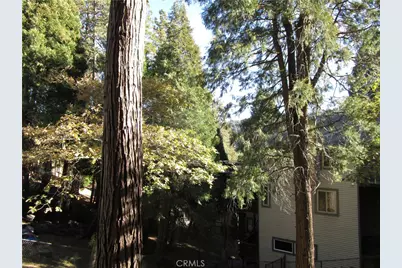 493 Wylerhorn Drive, Crestline, CA 92325 - Photo 62