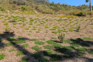 4287 Rosa Rancho, Fallbrook, CA 92028 - Photo 24