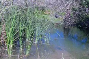 2132 Riviera, Blythe, CA 92225 - Photo 6