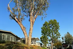 15181 Van Buren Blvd, Riverside, CA 92504 - Photo 24