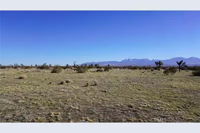 0 118th, Sun Village, CA 93543 - Photo 14