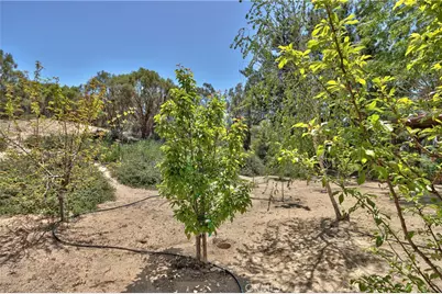 48208 Tanglewood Court, Aguanga, CA 92536 - Photo 40