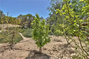 48208 Tanglewood Ct, Aguanga, CA 92536 - Photo 40