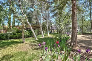 48208 Tanglewood Ct, Aguanga, CA 92536 - Photo 58