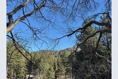 631 Oak Knoll Drive, Green Valley Lake, CA 92341 - Photo 34