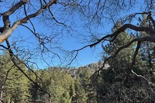 631 Oak Knoll Dr, Green Valley Lake, CA 92341 - Photo 34