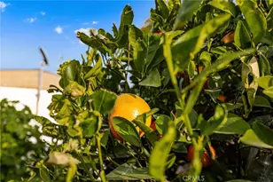 13381 Magnolia, Corona, CA 92879 - Photo 24